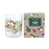 Robin and rosehips scented boxed candle small