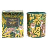 Noble Creatures boxed candle pot small
