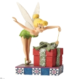 Pixie dusted present