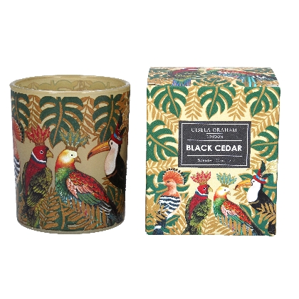 regal-birds-boxed-candle-pot-large